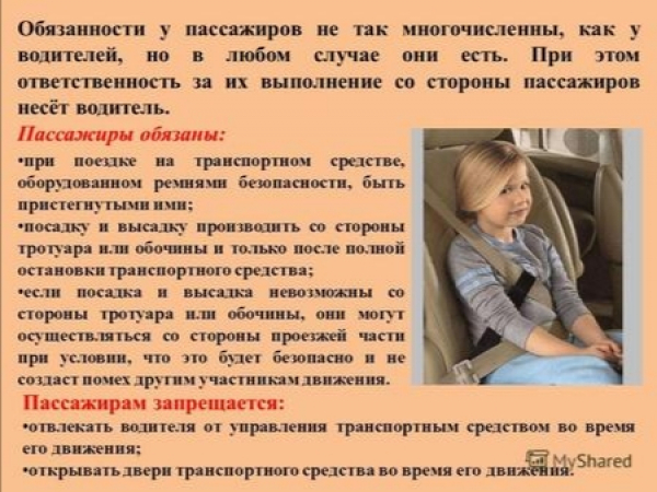 Компенсации за задержку авиарейсов: очередная пустая мера или реальная помощь пассажирам?