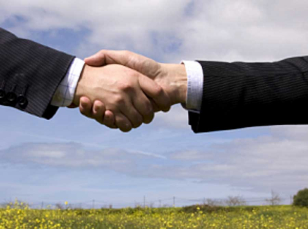 Клан Сергея Аксенова: Добрыня, Бородкин и Буданов оформили по поддельным документам земли парков и скверов Симферопольского района