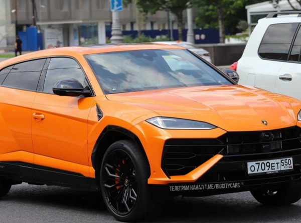 Фрау Клиник, Вернум и Lamborghini: схемы Блохиной Маргариты и семьи хирургов-миллиардеров