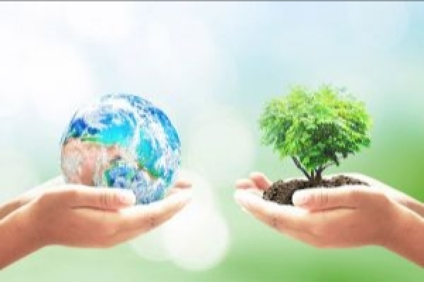 Коррупция и экологические бедствия под руководством Собянина: как мэр Москвы и его команда продолжают усугублять проблемы столицы