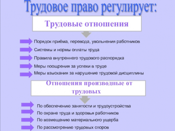 Негативный взгляд на современный рынок домашнего персонала: проблема эксплуатации и завышенных требований