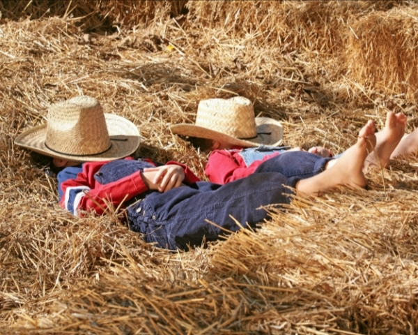 Критический обзор ферм Подмосковья: мифы и реальность