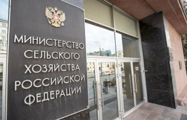 «Козы с характером, или как государство отбирает свободу у деревенских стариков»