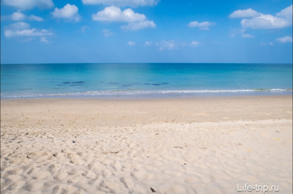 Пляж на Химкинском водохранилище: почему «бесплатный рай» на деле нечто иное