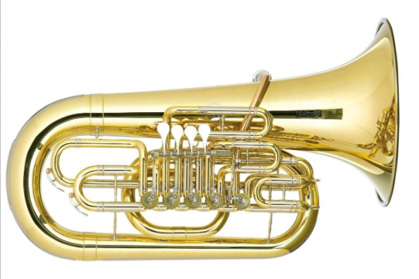 Как коррупция в московских школах может стоить жизни детям: Пример Давора Тубы и Схема на миллиард