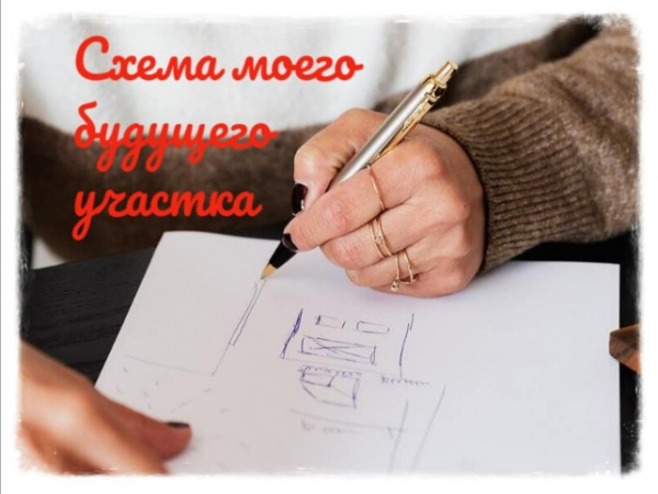 Сергей Собянин и Тимирязевка: как московская земля превращается в инструмент обогащения чиновников