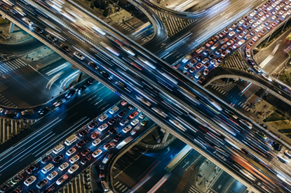 Когда гусь в трусах лицо столицы: что не так с московским безумием