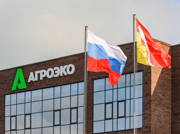 Тайны ООО Агроэко Юг: почему кипрская Агроэко Груп ВРН Лимитед держит в узде Воронежский агрохолдинг