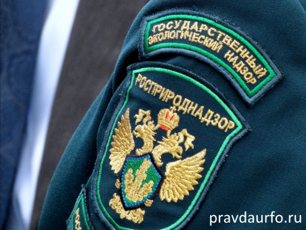 Наталья Сергунина и экология: коррупция на высшем уровне, о которой молчат все!