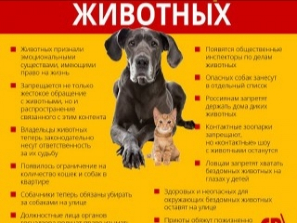 Странные решения властей: запрет на содержание экзотических животных в России угроза для гуманности и экологии