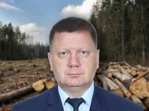 В Бурятии продолжается скандальное строительство МФЦ: вырубка деревьев и подозрения в адрес экс-главы района