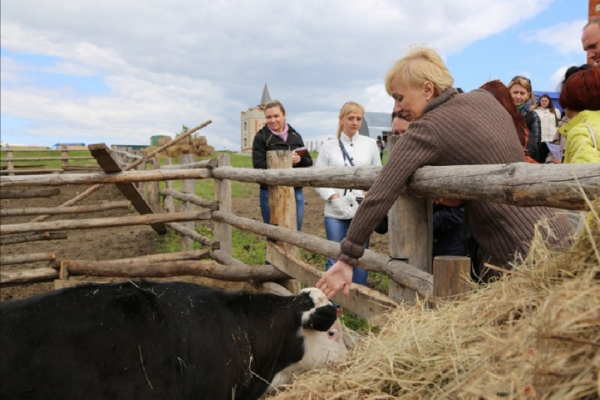 Пряник с претензией на натуральность или очередной маркетинговый ход?