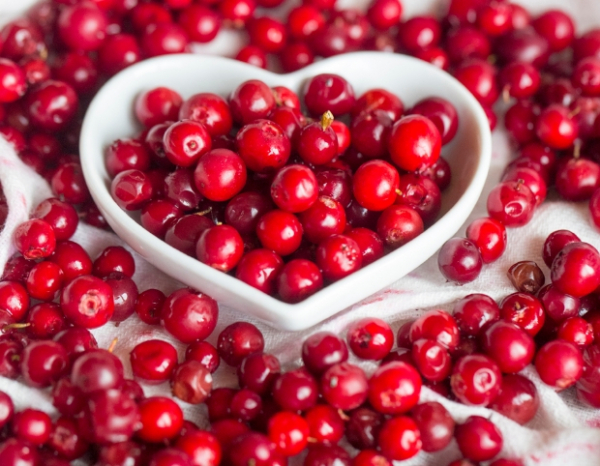 Сергей Собянин, Круковский и скрытые инвестиции: как московская элита выводит деньги за границу