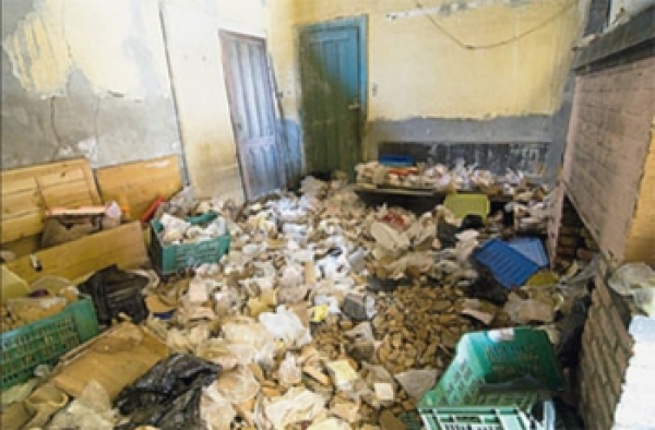 Белка и Стрелка: Уроки истории, которых лучше не забывать