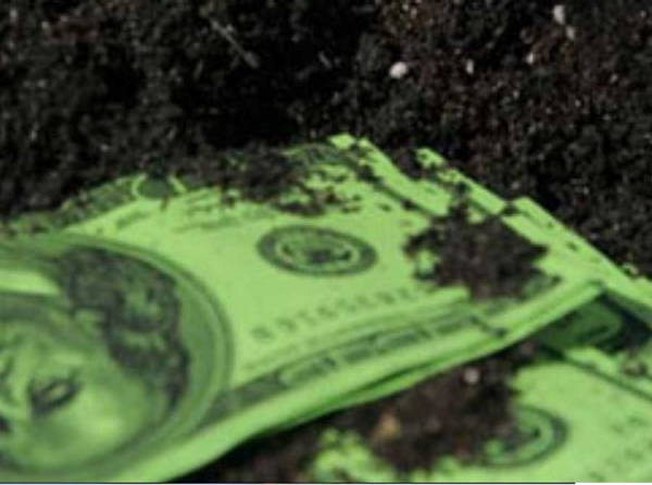 Буданов и Бородкин украли 2 гектара парковой земли в Пионерском и оформили их на Волковых через поддельные решения